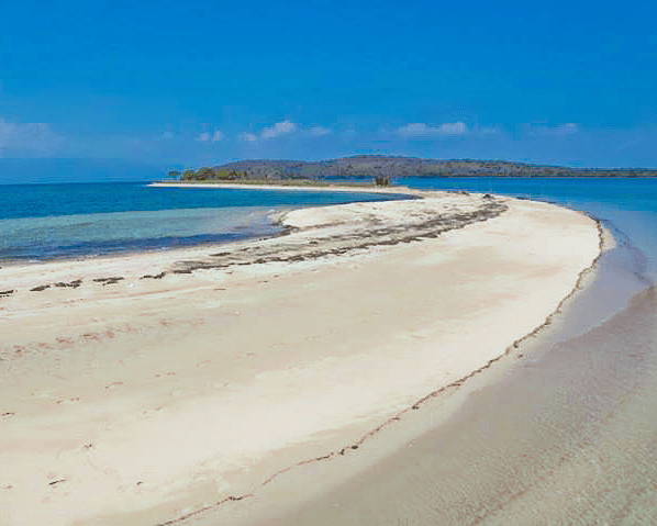 Saleh Bay Whale Sharks - Lombok to Komodo Boat Trip